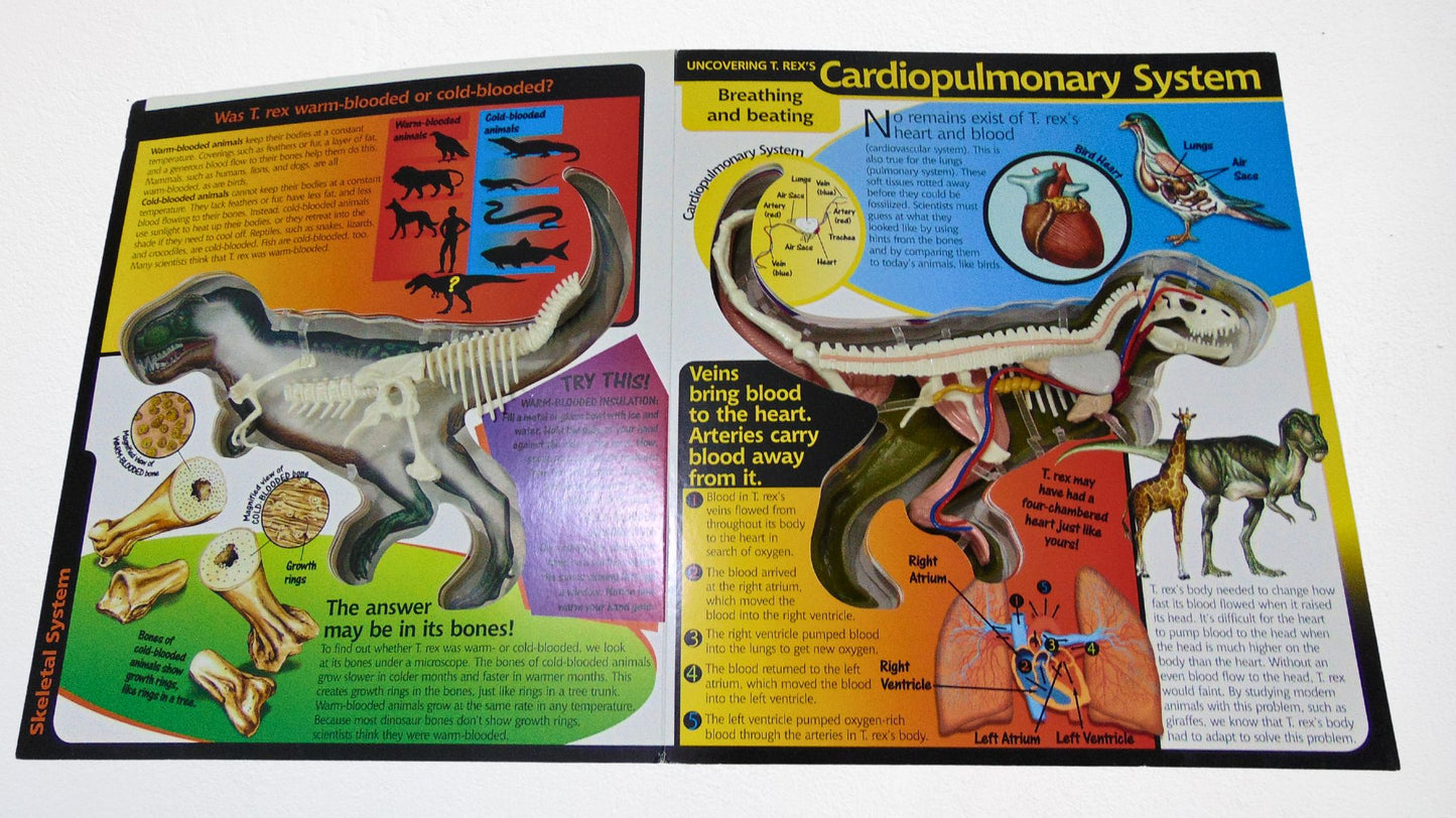 3D Book Dinosaur - Uncover a T. Rex