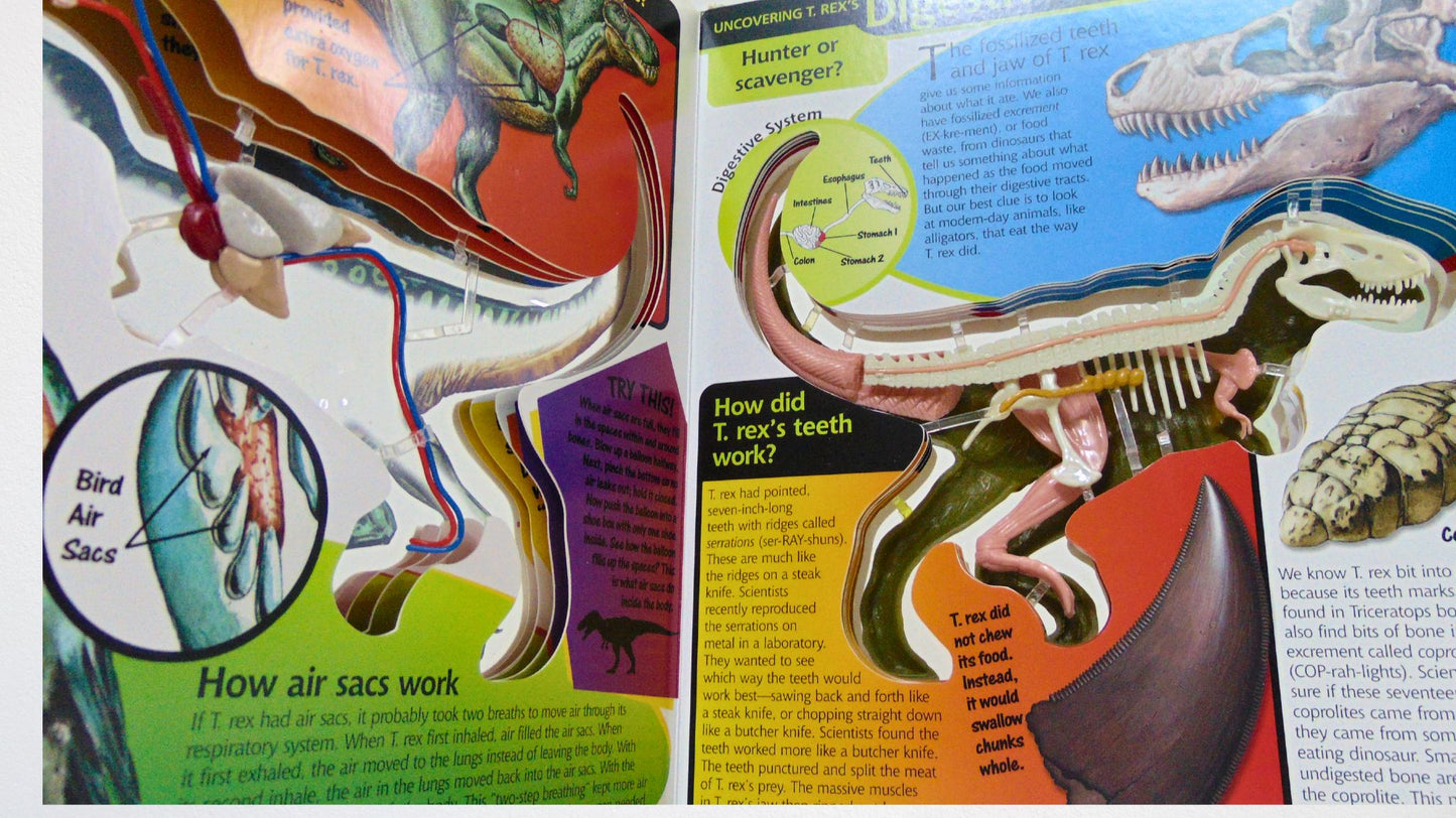 3D Book Dinosaur - Uncover a T. Rex